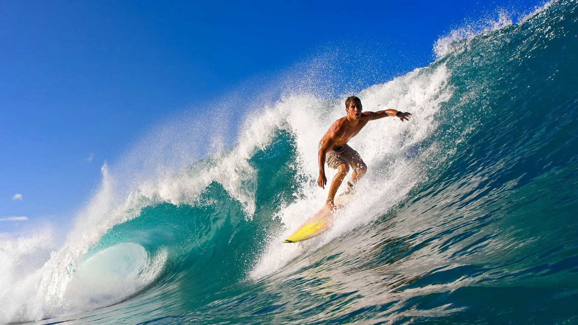 开云体育俱乐部官网-“夺冠时刻：感人瞬间一览无遗”，夺冠令人感动的瞬间